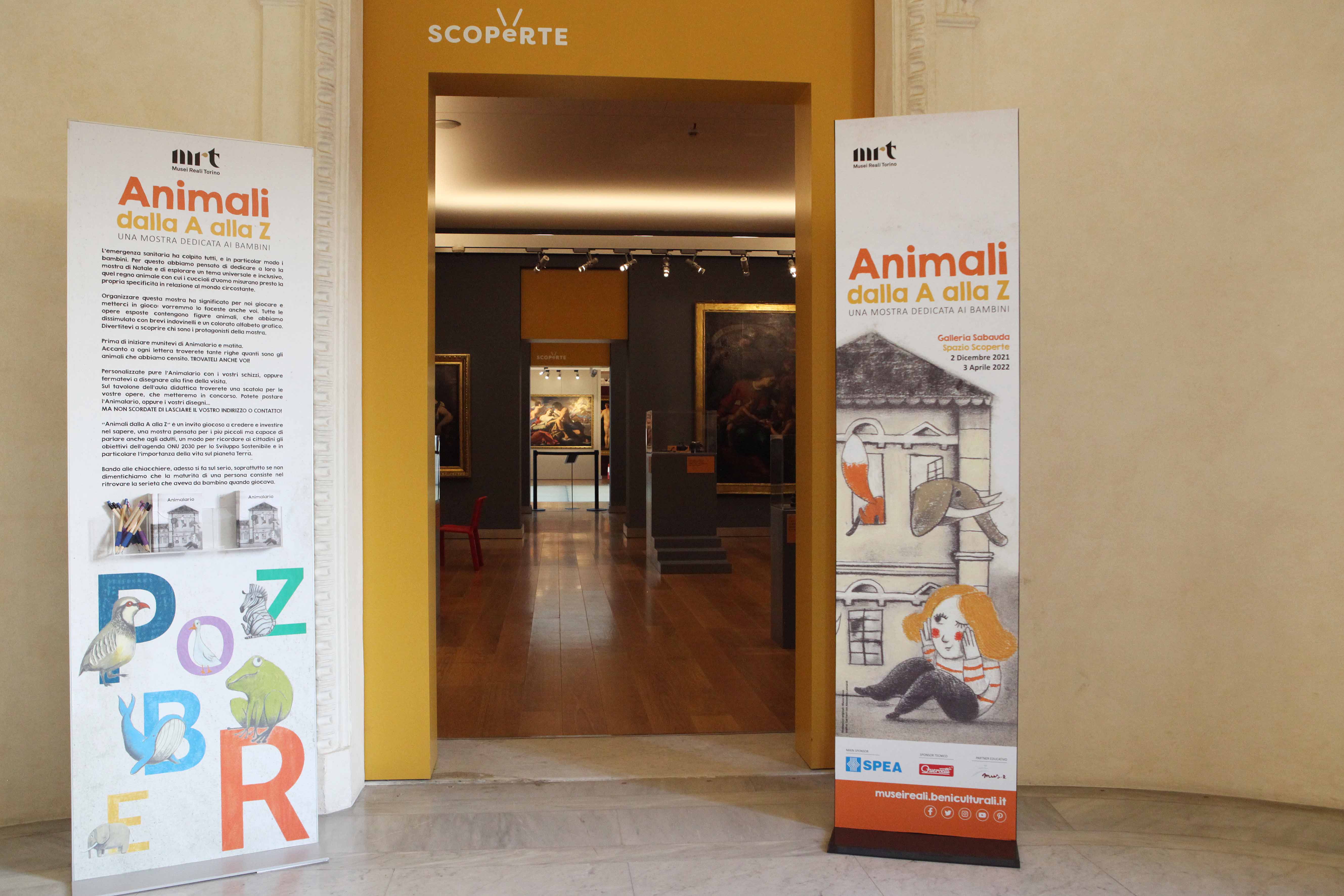 Musei Reali - Animali dalla A alla Z. Una mostra dedicata ai bambini
